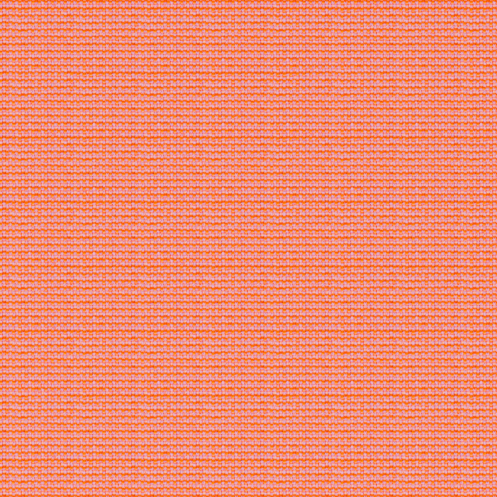 Tempotest Home Maestro Bloom - Tempotest Home Upholstery Fabrics