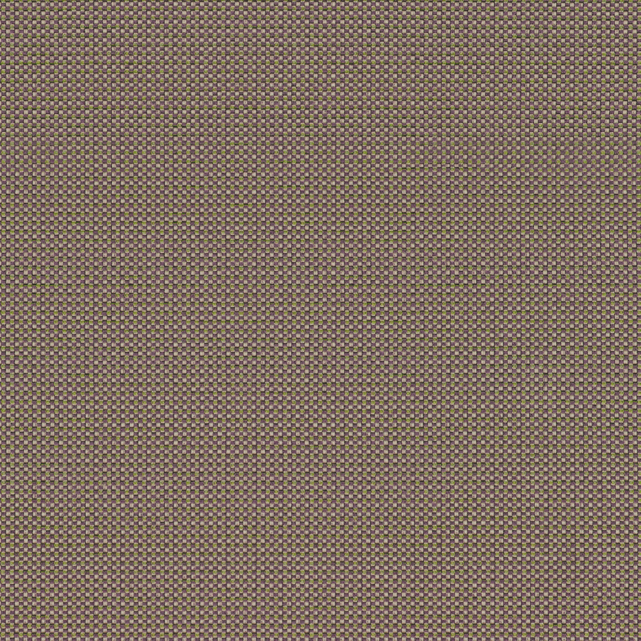 Tempotest Home Maestro Tundra - Tempotest Home Upholstery Fabrics