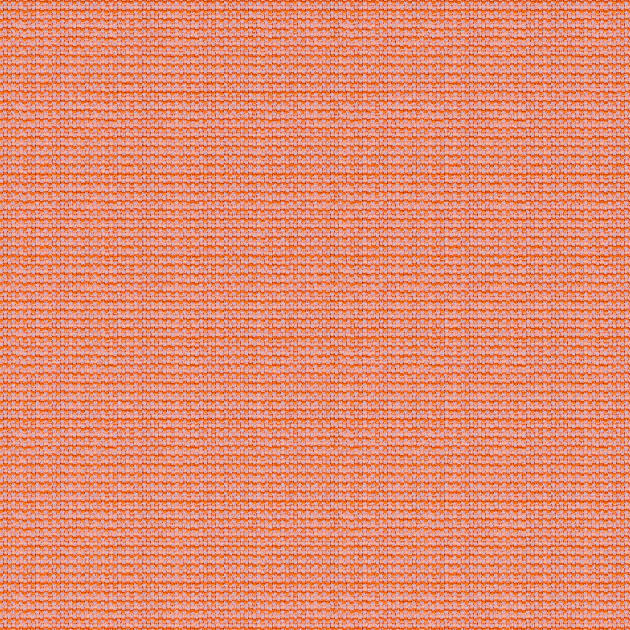 Tempotest Home Maestro Blush - Tempotest Home Upholstery Fabrics
