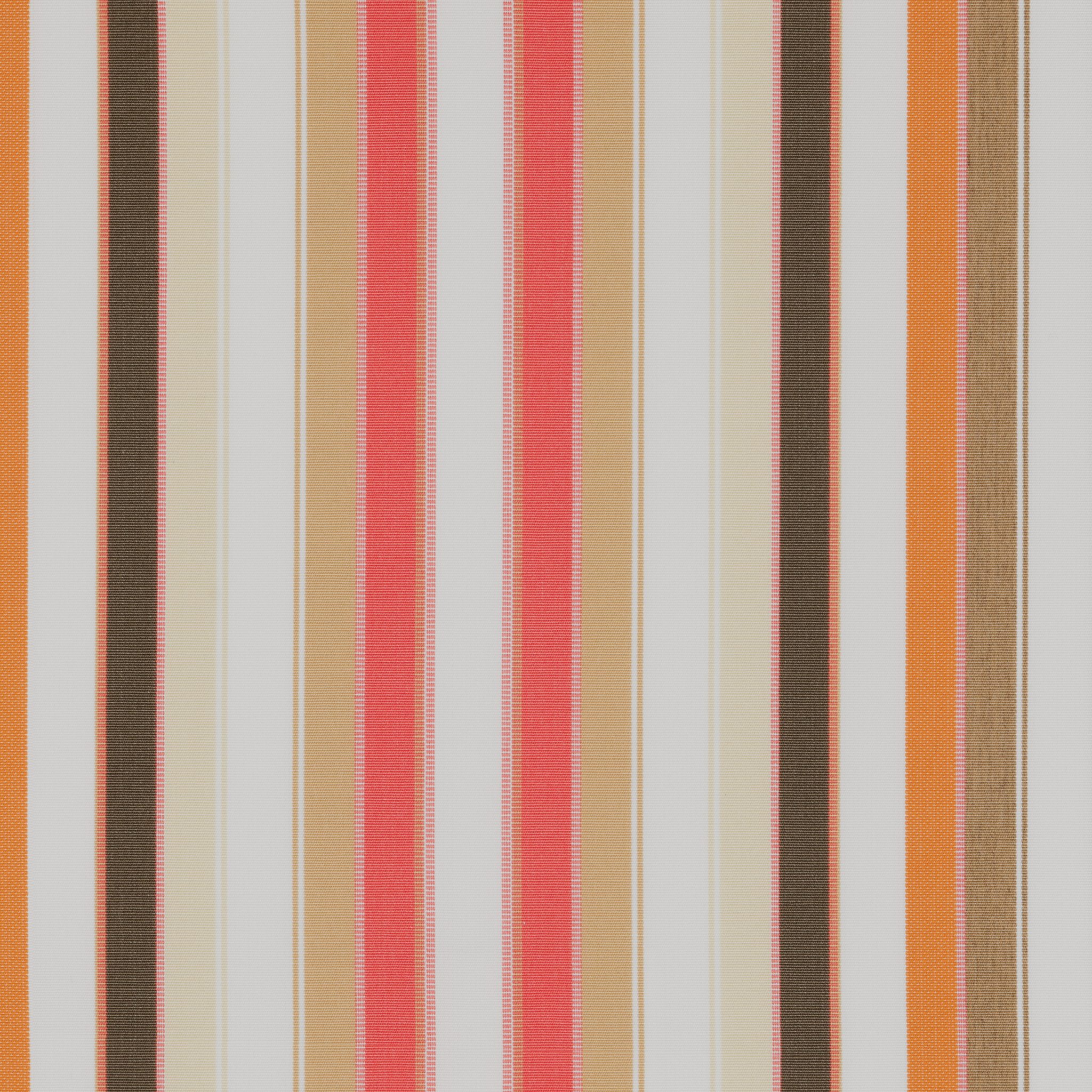 Tempotest Home Spumoni Conch - Tempotest Home Upholstery Fabrics